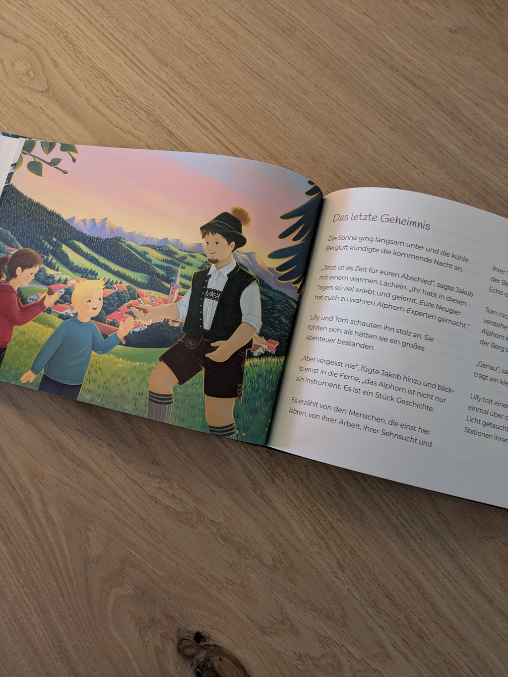 Das Geheimnis des Alphorns - Buch